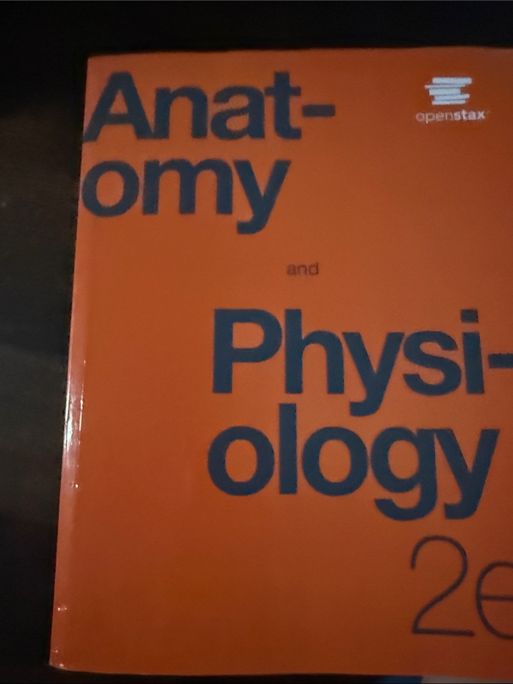 OpenStax Anatomy and Physiology VR Accessory - Orange
